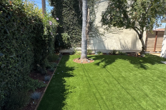 yard11