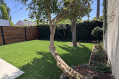yard2