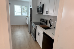 Kitchen view 2