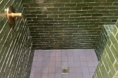 Shower view